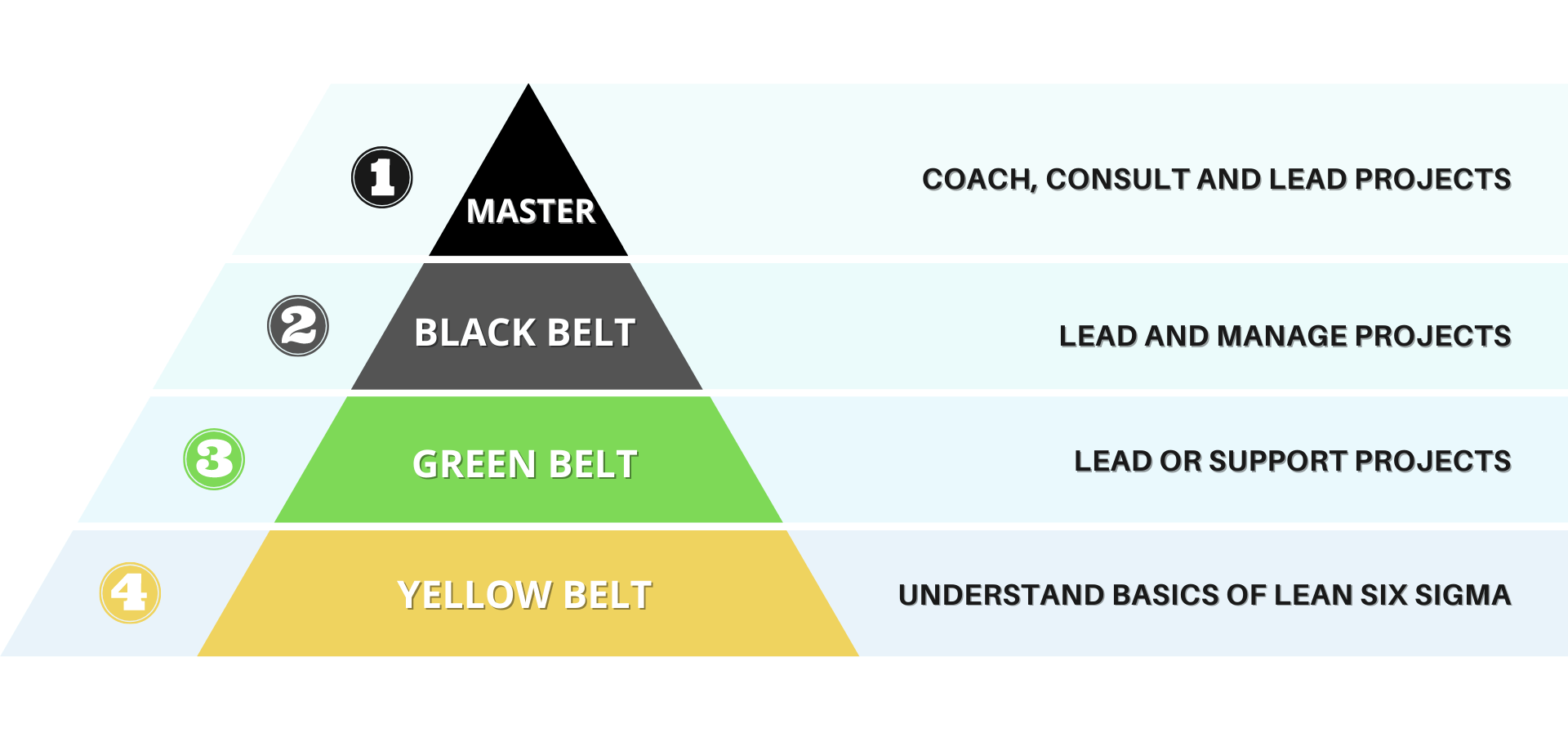 Formation Black Belt Lean Six Sigma - GH Training
